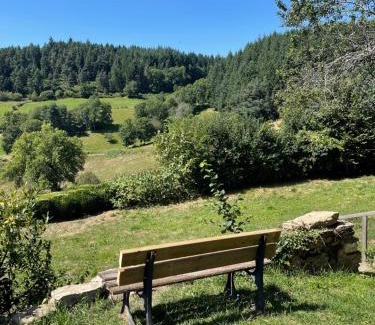 Champagnac-le-Vieux Villa | Ancienne étable - En Pleine campagne française