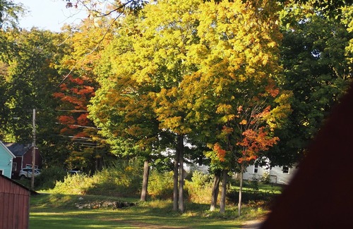 South Hartford RV Rental | Andelyn Farm Bear Kamp Yurt. A Unique Glamping Experience in Up-State New York