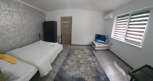 Baile Herculane Apartment | ANDI 2-apartament