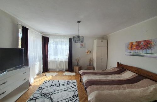 Sfantu Gheorghe Apartment | Andrea apartman