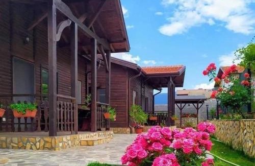 Sapareva Banya House | Andreevite Houses