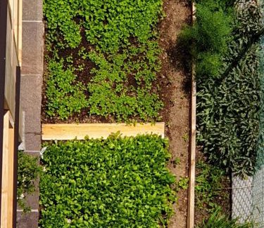 Baselga di Pine Apartment | ANESI appartamenti