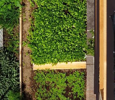 Baselga di Pine Apartment | ANESI appartamenti