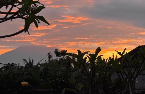 Mas House | Angel House Ubud Eco Villa