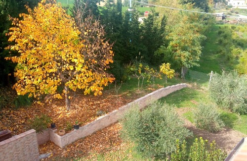 Servigliano House | Angela Garden B&B - Sunflower Room (quadruple)