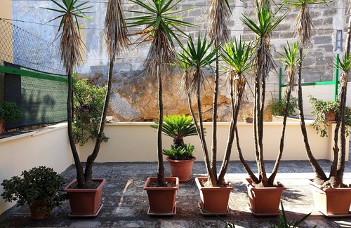 Oria House | Angelo's house with terrace