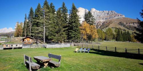Carezza Apartment | Angerle Alm Apt Zwergenvolk