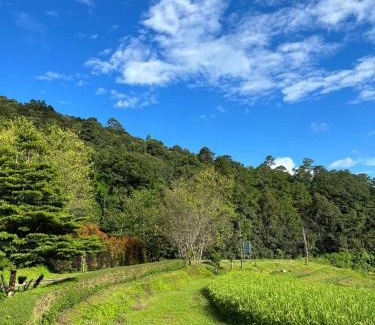 Chom Thong House | Angha forest view บ้านริมสวน