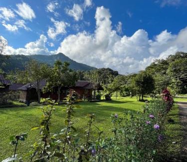 Chom Thong House | Angha forest view บ้านไผ่งาม