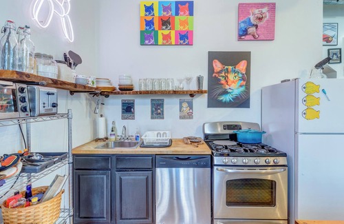 Bridgeport Apartment | Animal House Near Sox Stadium