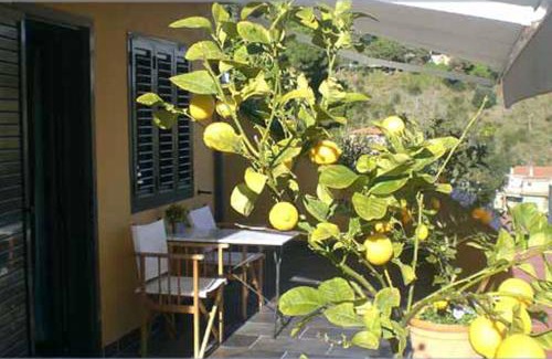 Vallcarca i els Penitents Bed & Breakfast | Anita's Bed and Breakfast