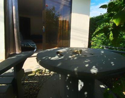 Puerto Jimenez Apartment | Anluka Estudio