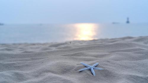 Taean House | Anmyeondo paradise pension