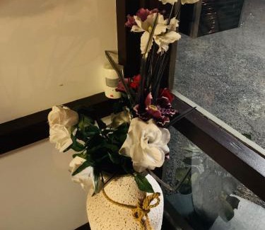 Glen Innes Hotel | Anna Bella Motel Glen Innes