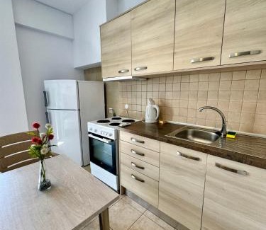 Psakoudia Apartment | Anna's apartments