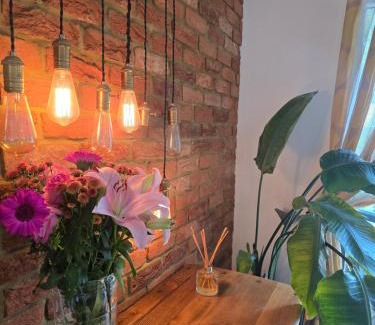 Totnes House | Anna's Place