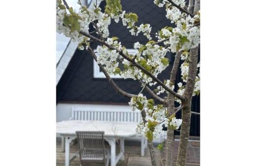 Brodersby House | Anna Schlei Comfortable holiday residence