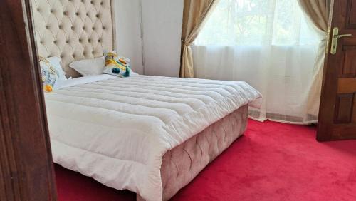 Kitisuru Apartment | Annes Serene apartments near UN