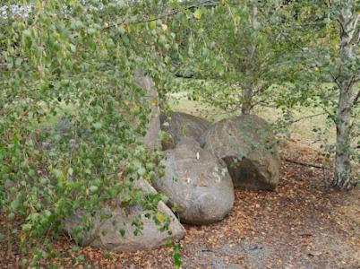 Tenterfield House | Annie's