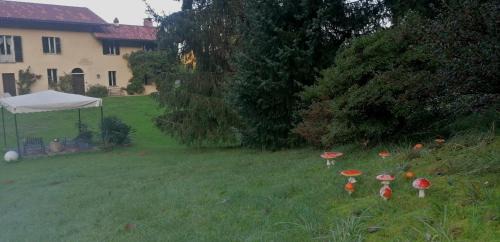 Muzzano House | Antica Cascina del Medico