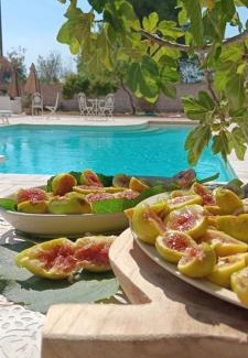 Manduria Bed & Breakfast | Antico Casale Il Sambuco
