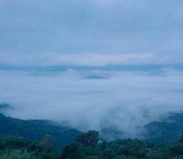 Medha Resort | Anvi Eco Agro Resort