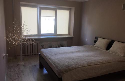 Anyksciai Apartment | Anyksciu liuksas