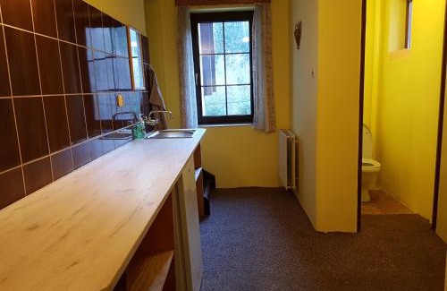 Tanvald Apartment | Apartments V Zatáčce