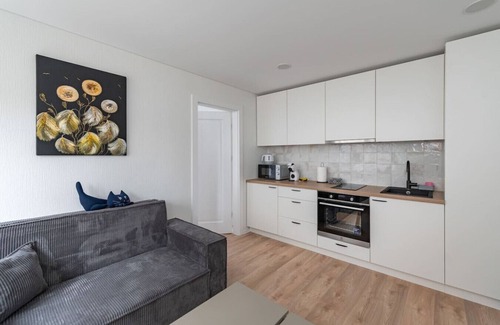Kaunas Apartment | Ap Dandelion by Polo apartments