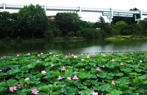 Chuo Hotel | APA Hotel Chiba Ekimae