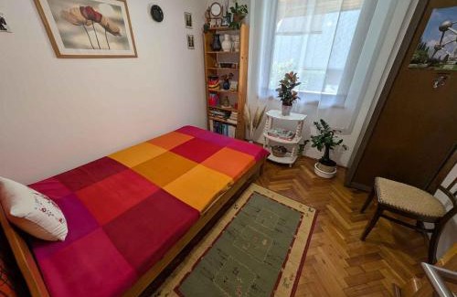 Balatonmariafurdo Apartment | Apartment in Balatonmariafürdo 19233