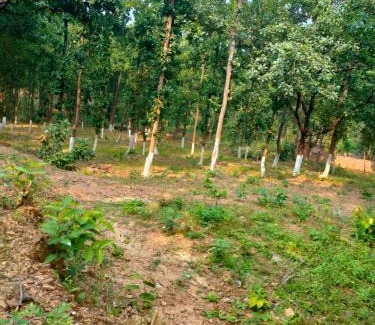 Ranchi House | Aparajita Home Stay