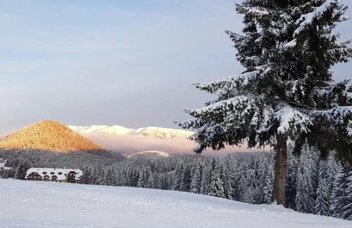 Donovaly Apartment | Aparmánový dom Kamzík,Apartmán 42,Donovaly