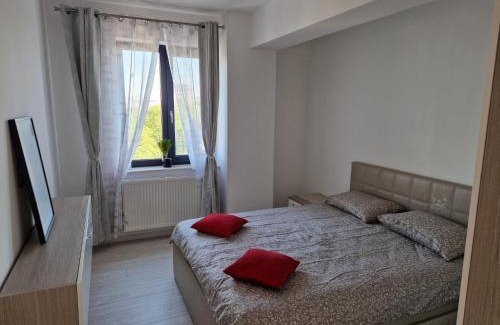 Bacau Apartment | Apart Confort