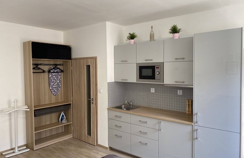 Ostrava City Centre Apartment | Apartment with TV, free WIFI and free parking