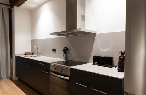Sant Joan de Les Abadesses Apartment | Apartaments Casa Maragall