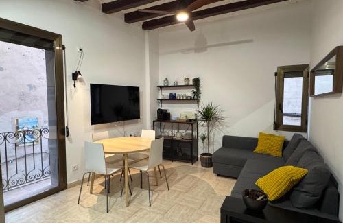 Sant Joan de Les Abadesses Apartment | Apartament al centre històric