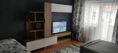 Cavnic Apartment | Apartament în regim Hotelier