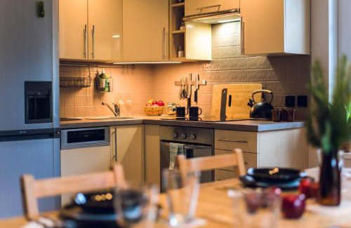 Miedzygorze Apartment | Apartament Śnieżny Międzygórze