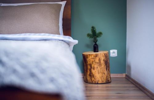 Miedzygorze Apartment | Apartament Śnieżny Międzygórze