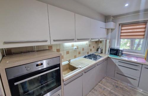 Bacau Apartment | Apartament 2 camere