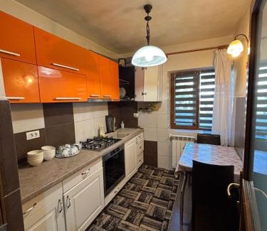 Pascani Apartment | Apartament 2 camere