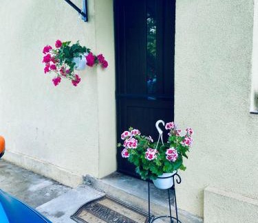 Floresti House | Apartament 3 Closca