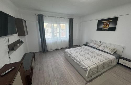 Calimanesti Apartment | Apartament Alessi Home