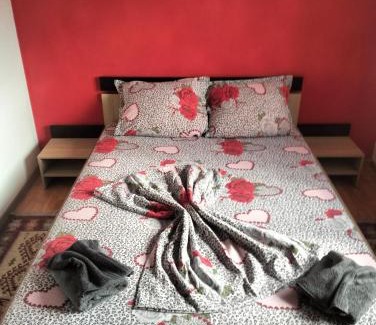 Orsova Apartment | Apartament Alexandra