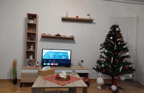 Sighisoara Apartment | Apartament Ambrus
