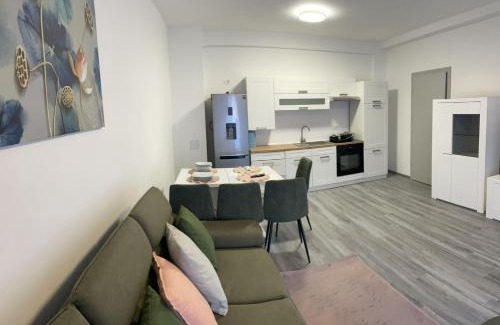 Cordau Apartment | apartament ANDRE Baile Felix