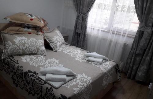 Campulung Moldovenesc Apartment | Apartament Bianca
