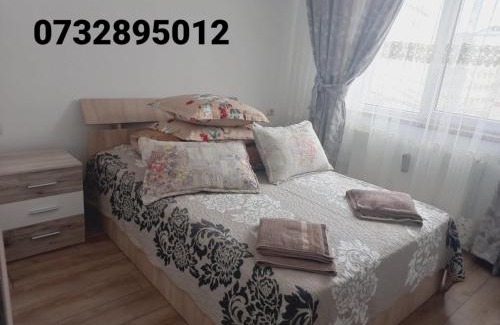 Campulung Moldovenesc Apartment | Apartament Bianca