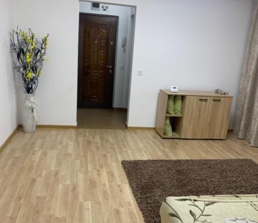Ramnicu Valcea Apartment | Apartament central